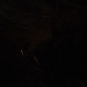 Meet your Posher, Collin